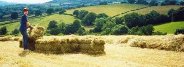 Haymaking in June