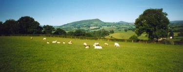 The Skirrid, as seen from Lower Green Farm